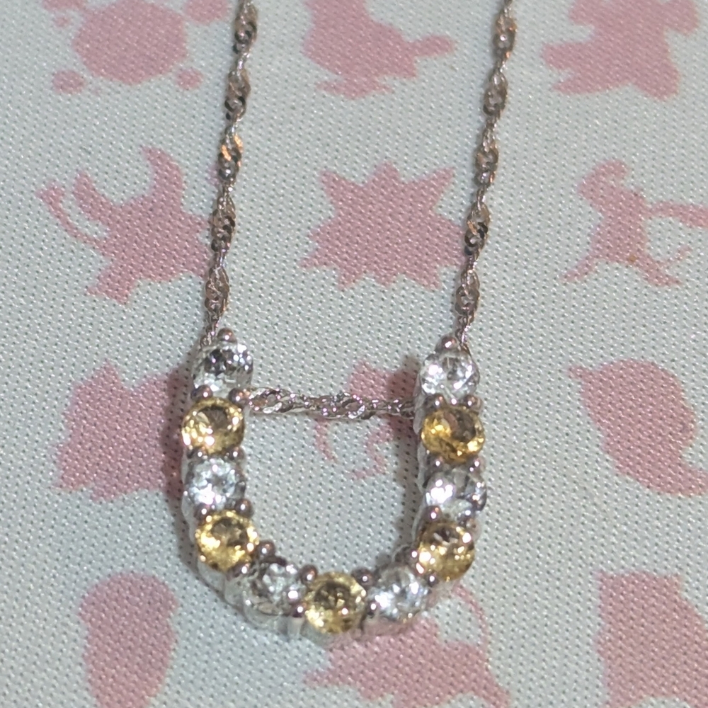 Elegant "U" Shaped Necklace